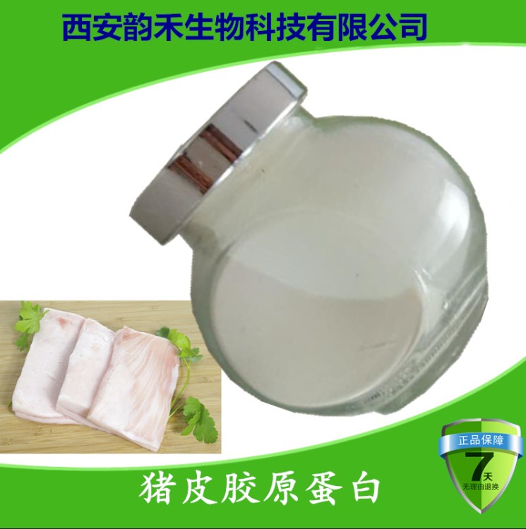 豬膠原蛋白粉 豬皮膠原蛋白 化妝品原料  現(xiàn)貨包郵