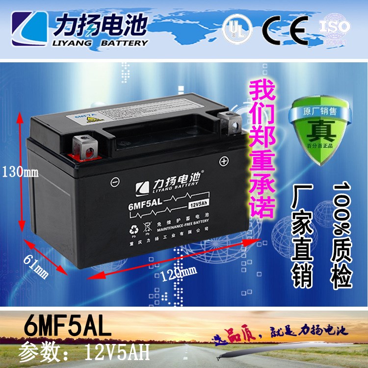 2017誠(chéng)招代理免維護(hù)電池鉛酸電池6MFL 摩托車電瓶
