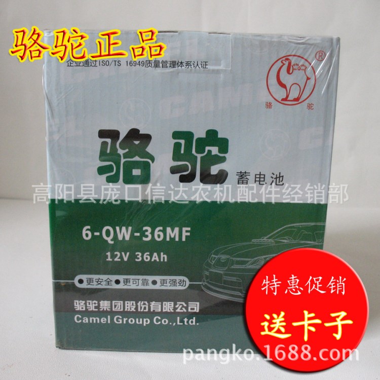 批發(fā)駱駝蓄電池  12V  36AH  6-QW-36    免維護(hù)蓄電池 駱駝電瓶