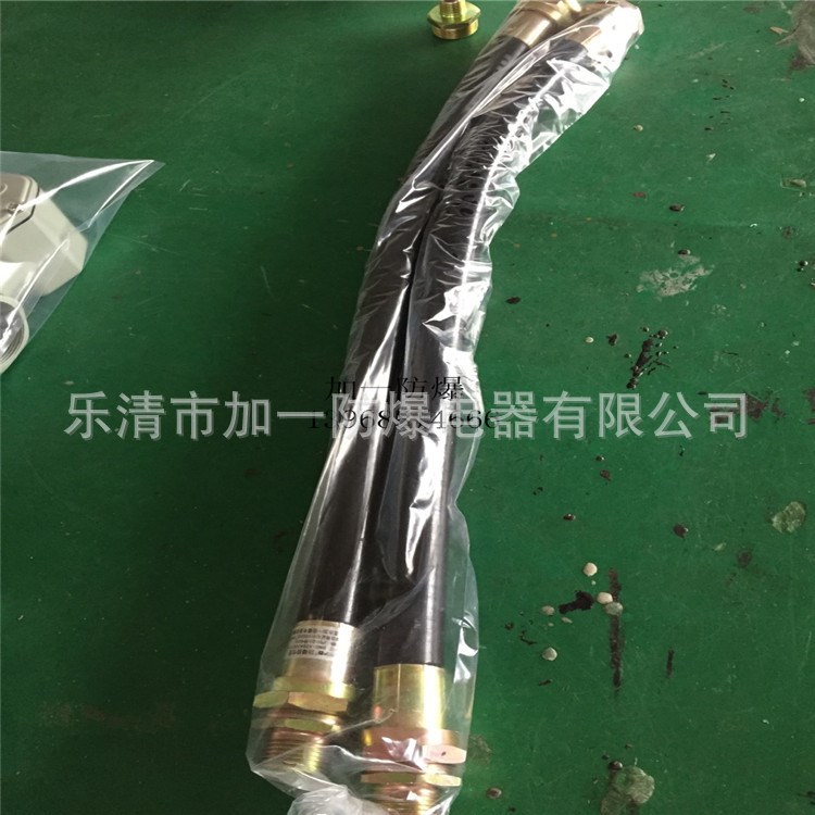 防爆軟管LCNg 防爆連接撓性管BNG-20*700 防爆管