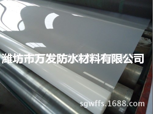 防水防潮防滲材料-HDPE防水板 HDPE土工膜