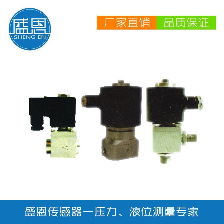 湖南盛恩二位二通高壓電磁閥DCF22G