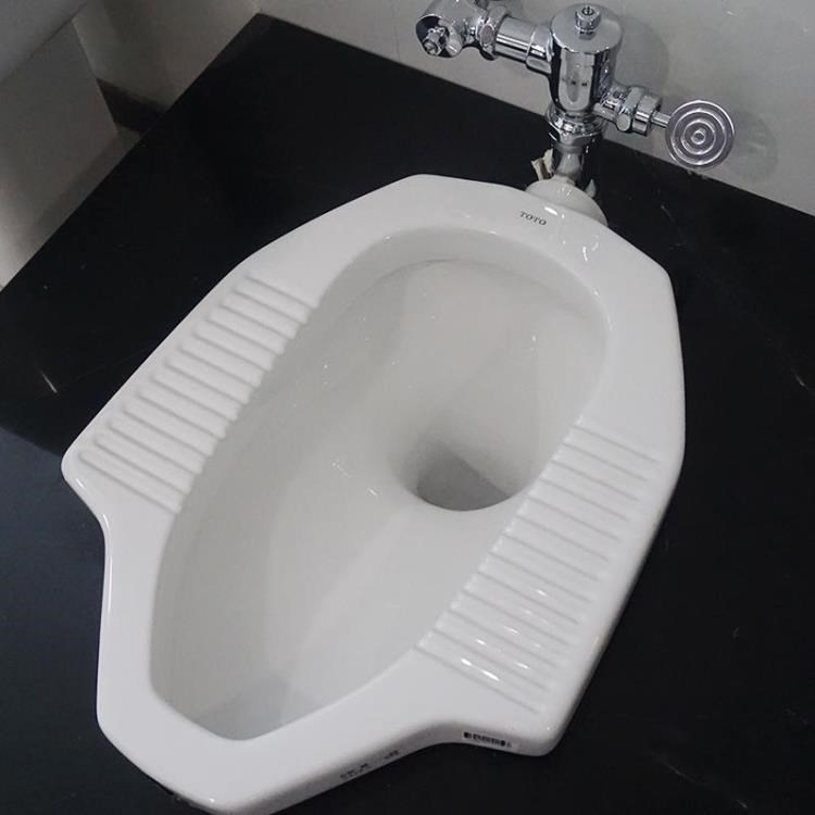 TO蹲便器CW8RB/SB大便器蹲坑專柜款配感應(yīng)沖水閥腳踩閥手按閥水箱