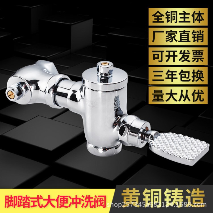 全铜脚踩蹲便器冲水器 卧式脚踏冲洗阀大便蹲坑延时阀854