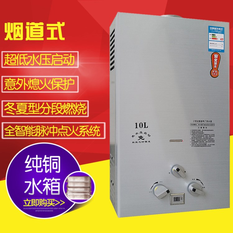家用燃?xì)鉄崴髋l(fā)熱水器天然氣熱水器快熱式熱水器煙道式熱水器