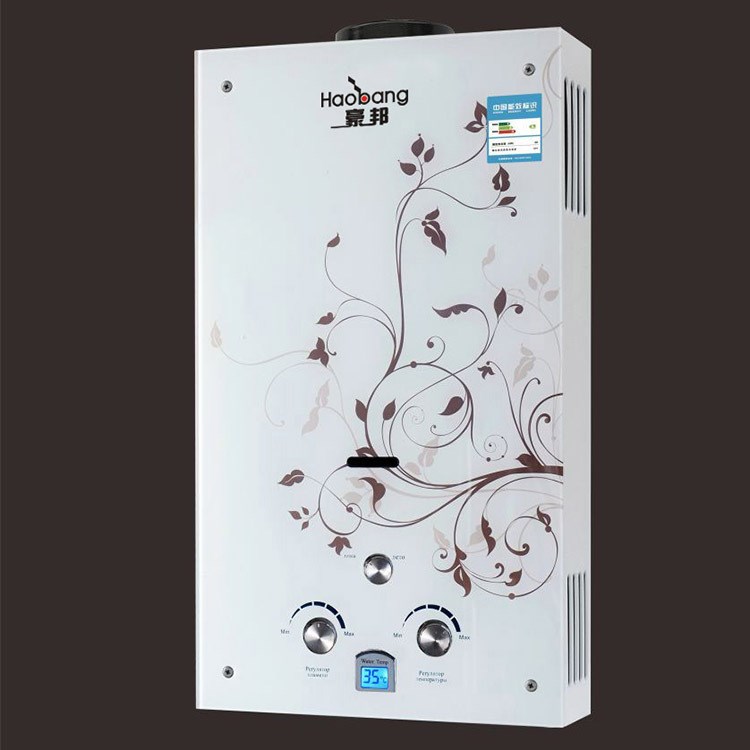 定制款聯系客服 燃氣熱水器家用 6升熱水器煙道式 加盟 批發出口