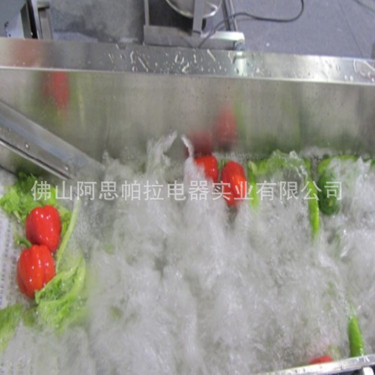 生產(chǎn)線山楂清洗機(jī) 全自動(dòng)土豆清洗水果洗菜機(jī)氣泡番薯清洗生產(chǎn)線