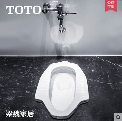 DT-TOTO蹲便器蹲坑蹲廁 CW8RB/SB /DC603VL原廠蹲便器
