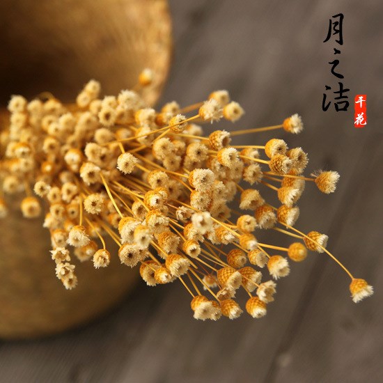 天然干花批發(fā)永生花原生態(tài)藝術(shù)插花思緒花快樂(lè)花小星花