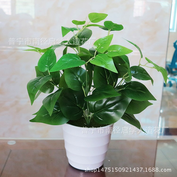 仿真植物盆景小綠植盆栽創(chuàng)意擺件塑料辦公室假綠蘿仿真雞心葉套裝