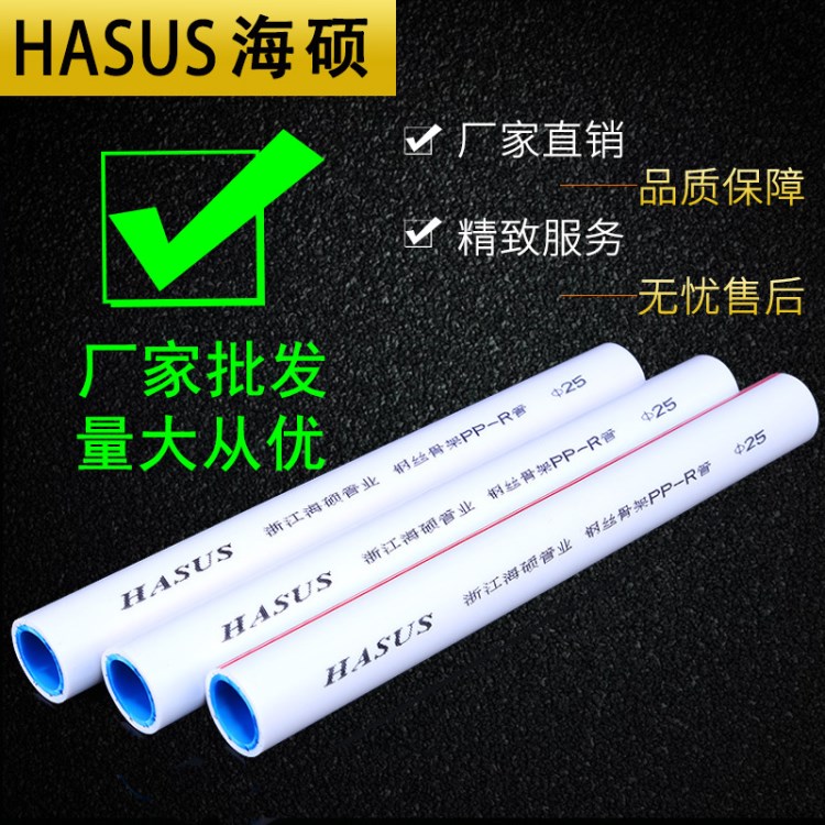 批發(fā)家裝精品ppr管材 水暖管道 家用熱水管 鋼絲骨架管 冬季保溫