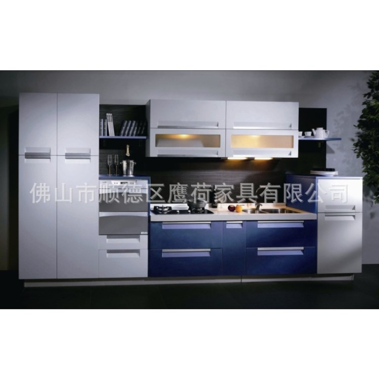 供應(yīng)不銹鋼櫥柜 品牌不銹鋼櫥柜 不銹鋼櫥柜廠家批發(fā) 工廠定制