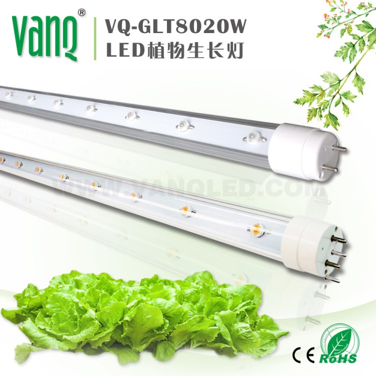 植物燈 20W 育苗專用燈 T8植物燈管 現(xiàn)在農(nóng)業(yè)無(wú)土栽培蔬菜燈管