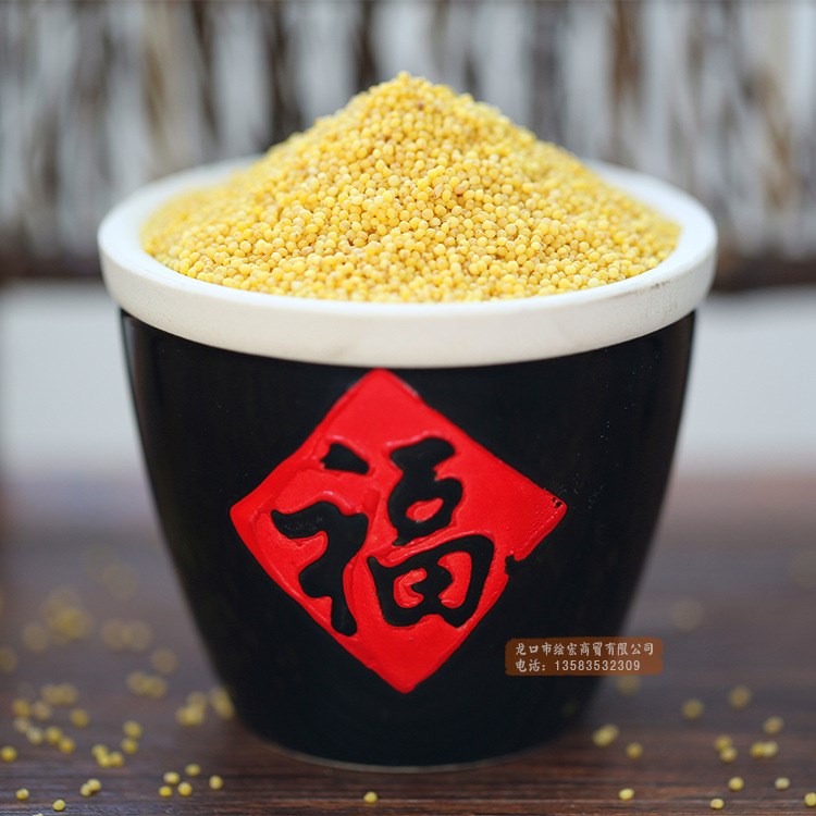 山東特產(chǎn)黃小米 農(nóng)家自產(chǎn)有機(jī)熬小米粥月子米 五谷雜糧食粗糧養(yǎng)胃