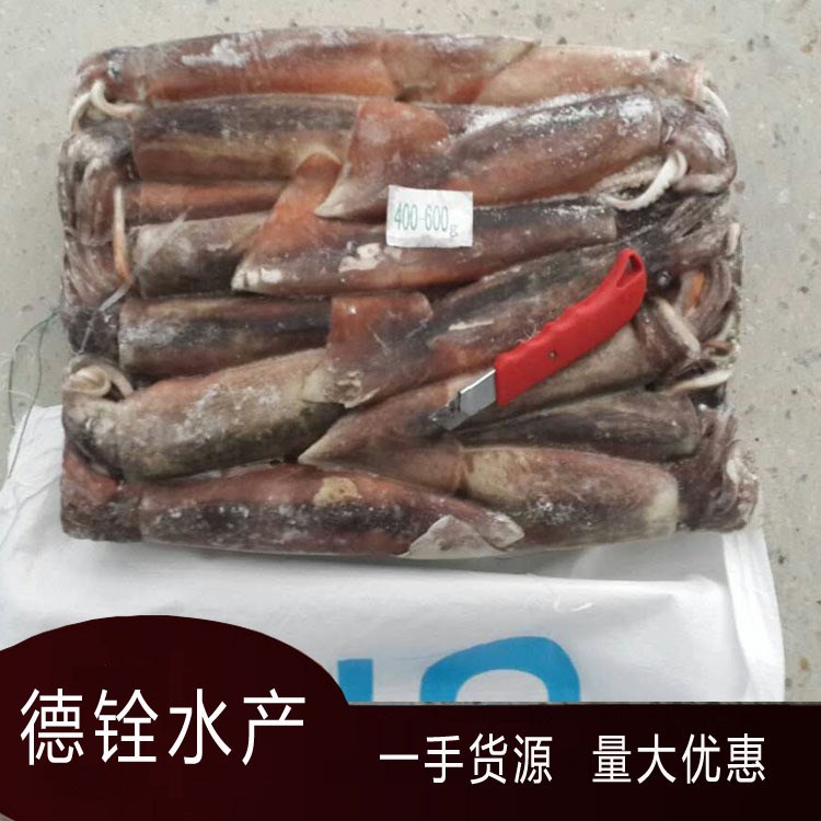 400/600阿根廷魷魚(yú) 船凍新貨魷魚(yú) 加工原料 冷凍海產(chǎn)品批發(fā)