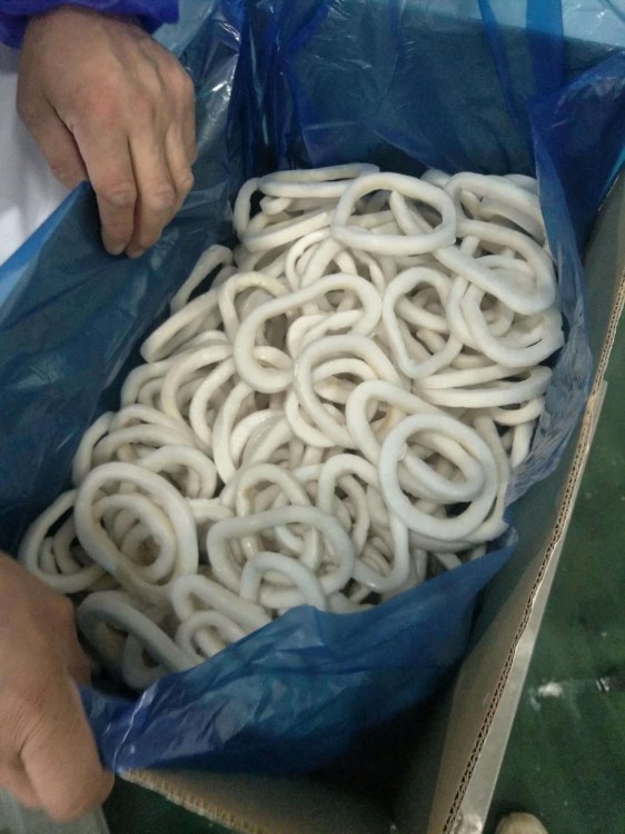 代加工海鮮魷魚速凍食品單凍魷魚圈技術(shù)成熟價(jià)格面談