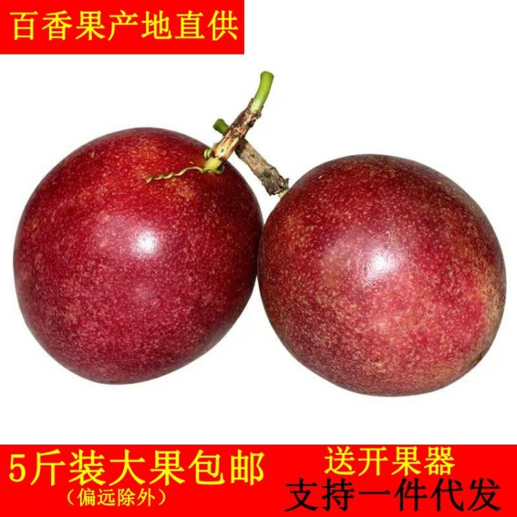 廣西百香果新鮮水果5斤包郵雞蛋果西番蓮酸爽香甜支持一件代發(fā)