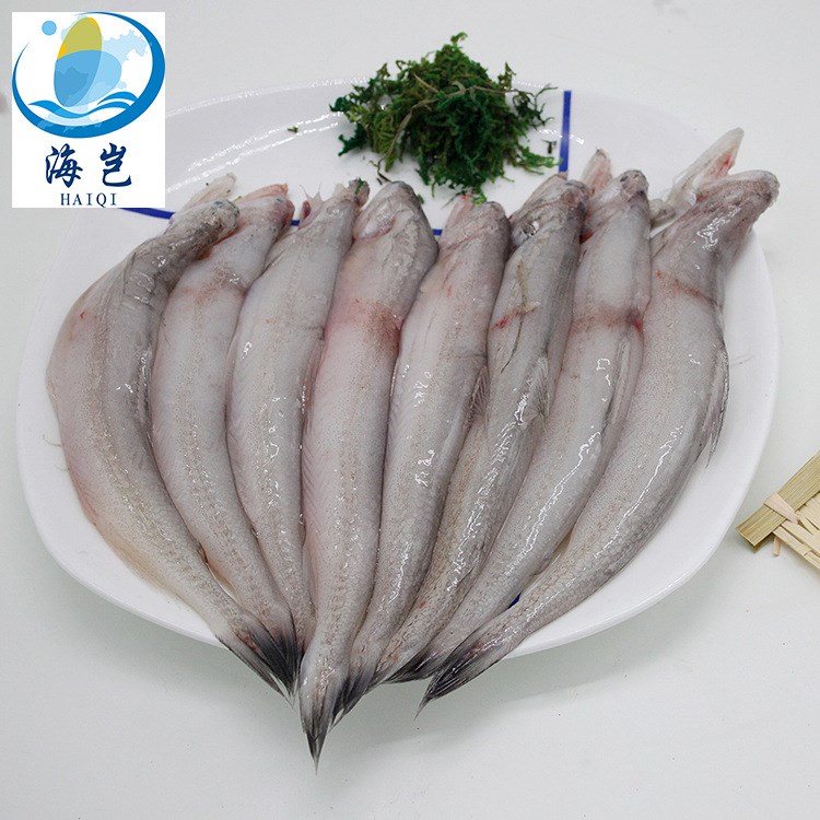 福建東山特產(chǎn)鮮活龍頭魚野生新鮮海產(chǎn)品海鮮豆腐魚批發(fā)海鮮水產(chǎn)品