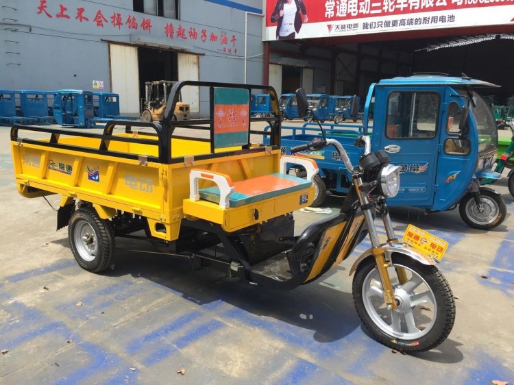 電動(dòng)三輪車電動(dòng)貨運(yùn)車電動(dòng)拉客車貨運(yùn)三輪車三輪拉客車電動(dòng)車