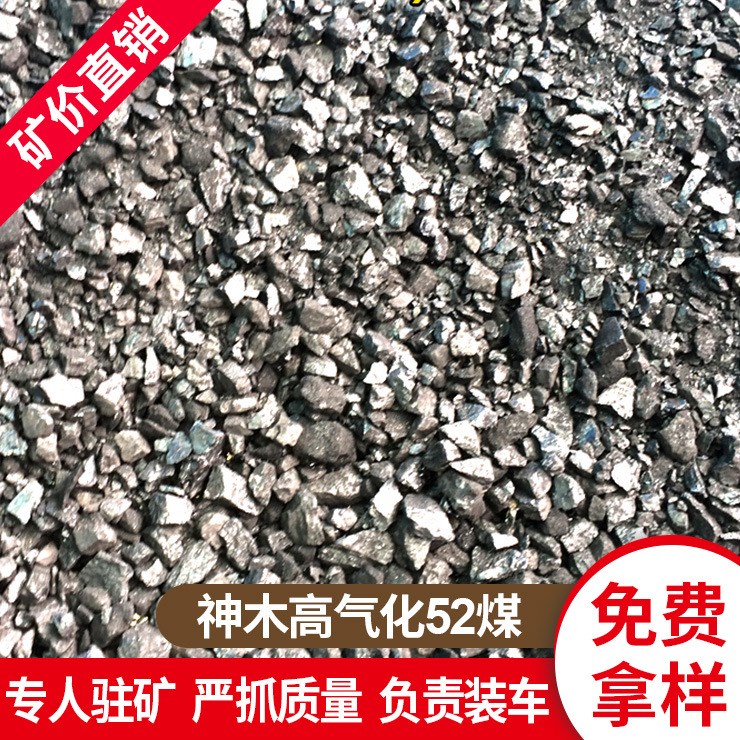 原礦直發 鏈條爐專用煙煤 產量高價格低 免費寄樣 52高熱量氣化煤
