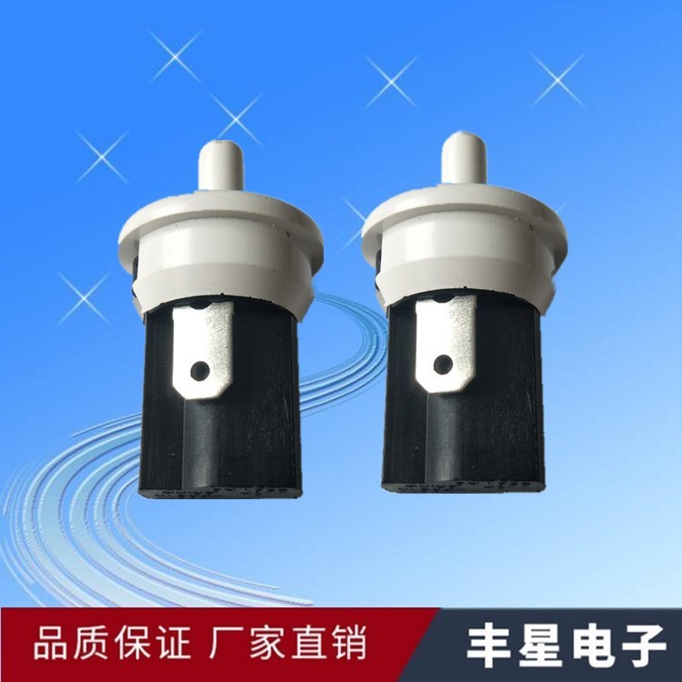 厂家供应PBS-05按钮开关PBS-05 两脚  125V 常闭的电冰箱开关