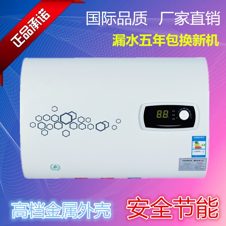 廠家直銷(xiāo)批發(fā)雙膽速熱電熱水器 超薄電熱水器 鐵外殼儲(chǔ)水式熱水器