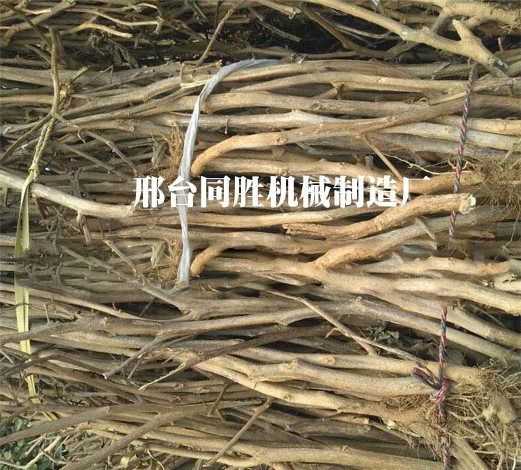新切片機切中藥材機多功能剁刀式中藥莖類切斷機中藥材切段機直銷
