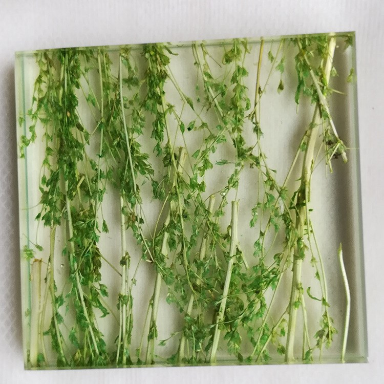 廠家直銷  夾樹葉夾植物玻璃  鋼化磨邊深加工定制 藝術(shù)屏風(fēng)玻璃