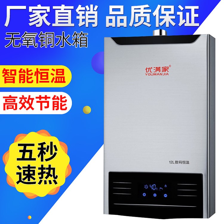 廠家供應(yīng)液化石油氣 天然氣燃?xì)鉄崴?家用即熱式電熱水器恒溫