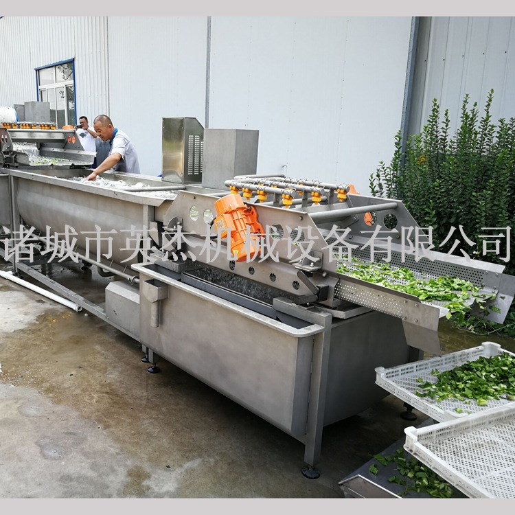 芹菜菠菜臭氧清洗機設備 葉菜類蔬菜清洗加工生產線 凈菜加工設備