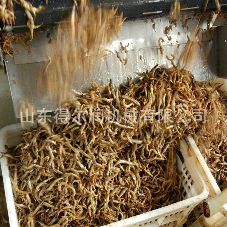 伊春市 油條油炸機 休閑速食設備 食品機械制造商