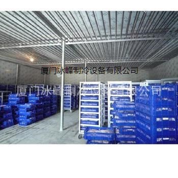漳州冷庫設備 漳浦制冷設備 龍海食品冷庫、冷藏庫制作安裝