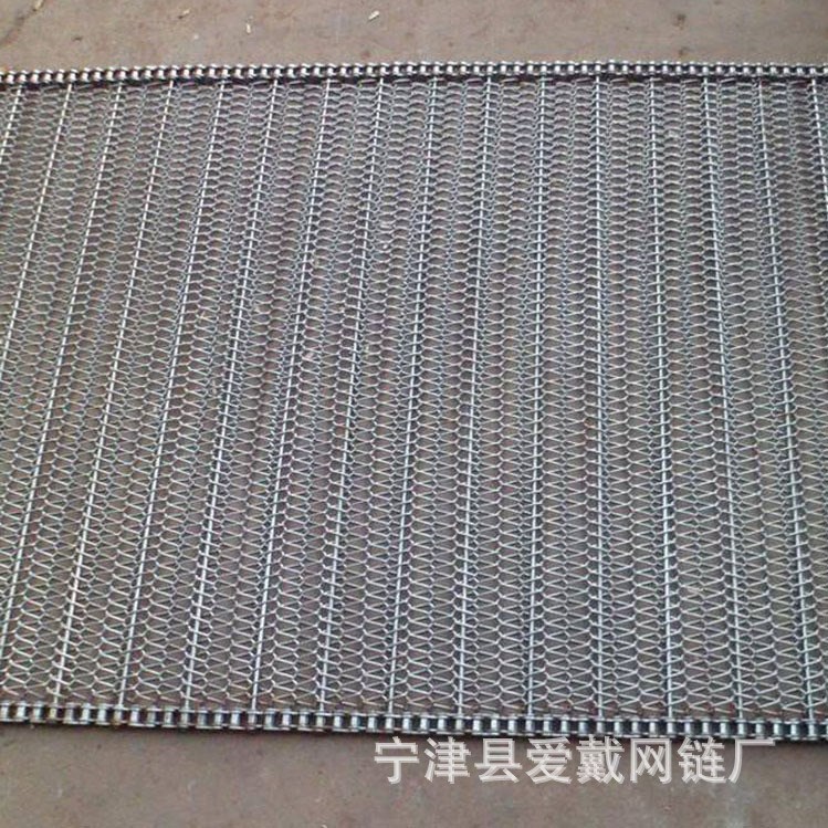 山東廠家定制大蝦冷卻網帶 碳粉壓片機鏈網 餅干雙旋網帶