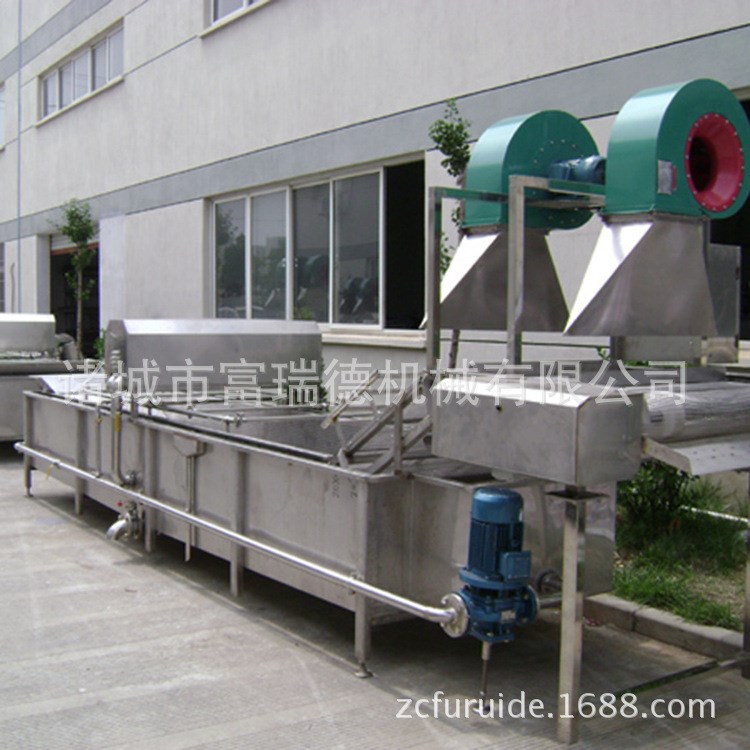 生產(chǎn) 蔬菜清洗機(jī) 全自動(dòng)氣泡清洗設(shè)備 歡迎咨詢 【圖】