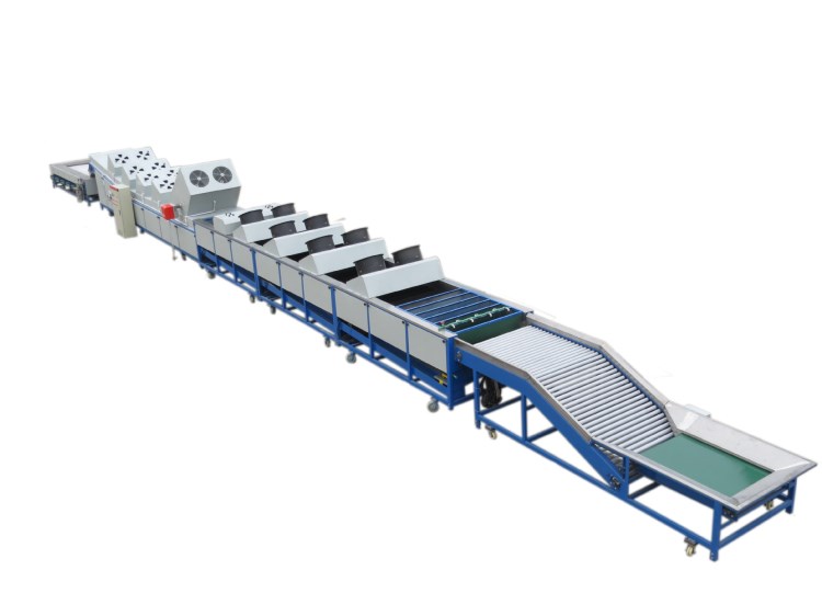 脐橙全套设备打蜡机水果保鲜设备水果分选机械