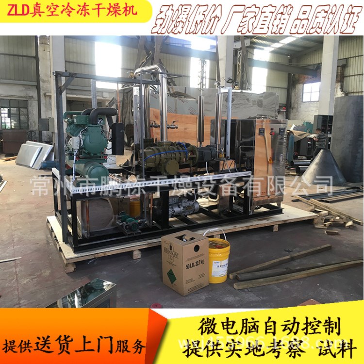 低溫冷凍真空干燥機 竹蓀凍干機 保健品凍干機 方便食品凍干設備