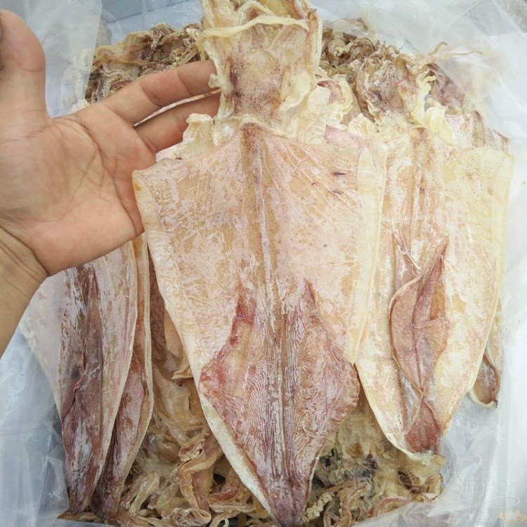 包郵越南北海批/發(fā)特產(chǎn)燒烤大魷魚干干貨頭須干足水煮 片專用一箱