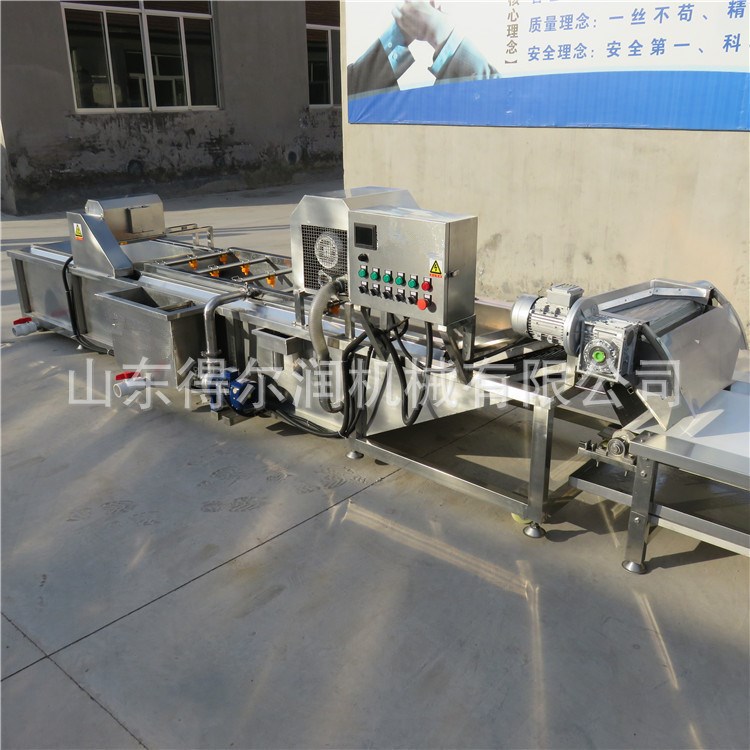 *廠家供應 定制香菇菌類蔬菜清洗機 洗菜機械 菇類成套加工設備