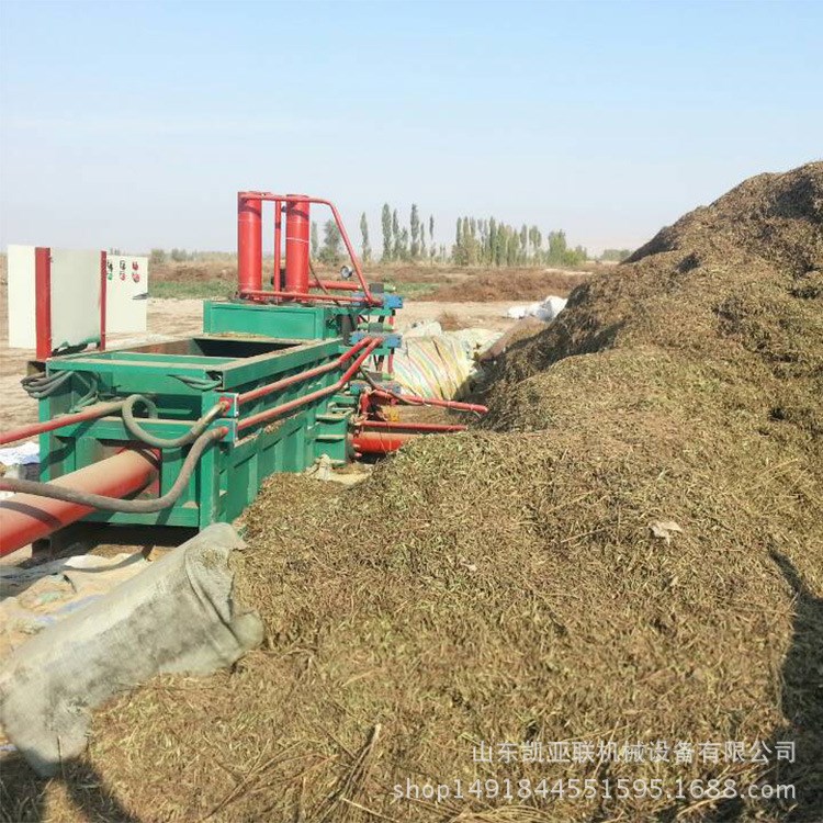 中草药材专用液压打包机 大型卧式叶型草药压缩推包装袋打包机