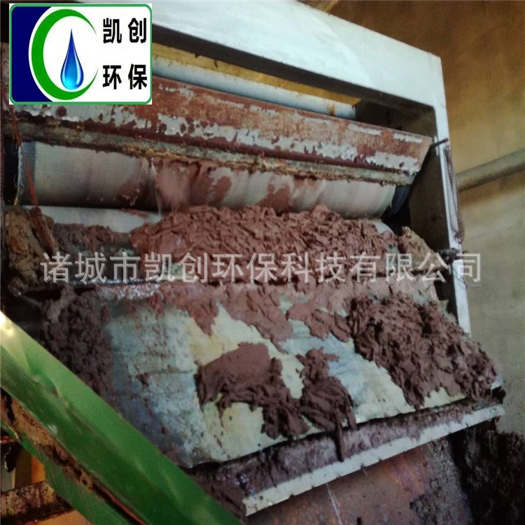 廠家供應帶式污泥濃縮壓榨一體機  帶式壓濾機 價格優惠