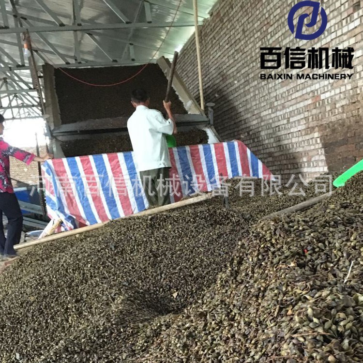 油茶籽烘干机 大型油茶籽带式干燥机 油茶青果剥壳烘干加工生产线