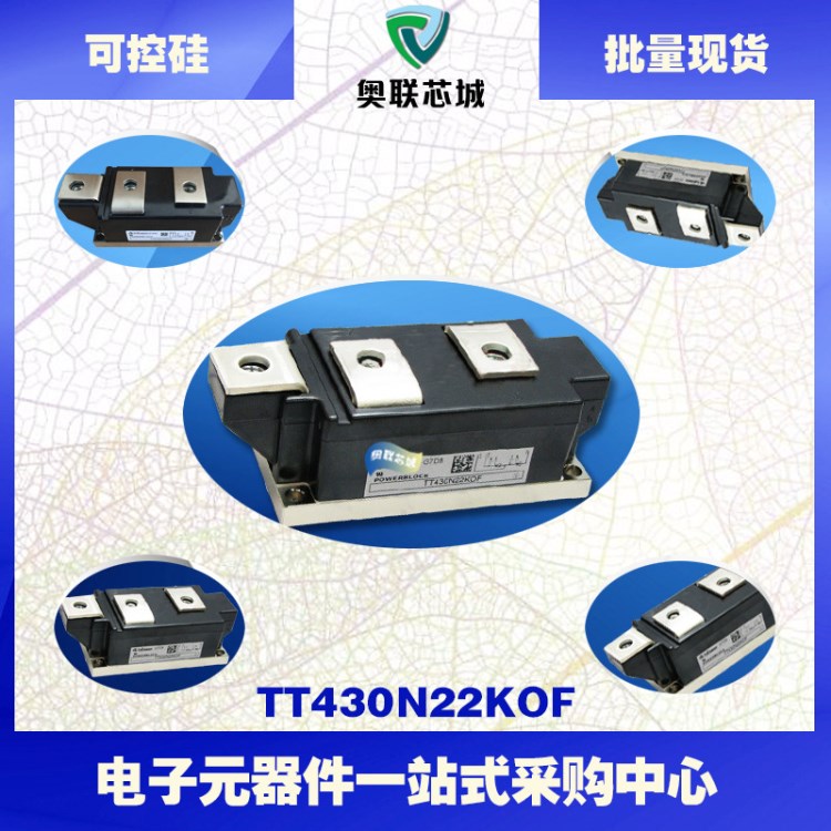 TT430N24KOF原裝英飛凌功率可控硅模塊.現貨