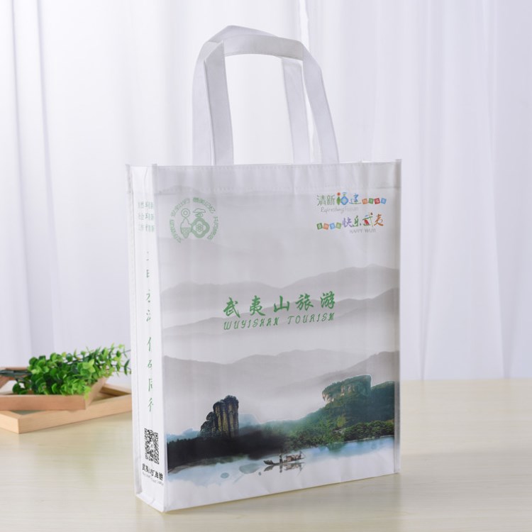 定做無紡布袋 制作彩色無紡布手提袋 定制印刷環保袋 手提布袋子