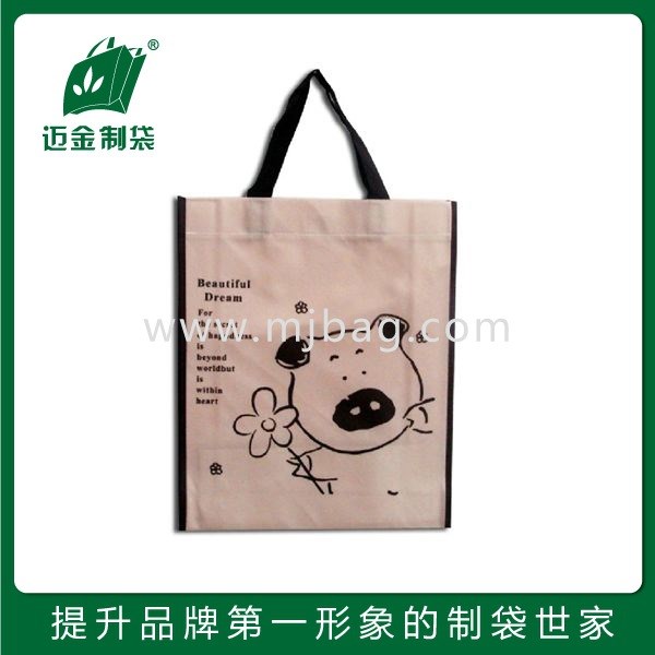 源頭工廠環(huán)保無紡布包裝袋 購(gòu)物禮品袋定制 品質(zhì)保障 價(jià)格好