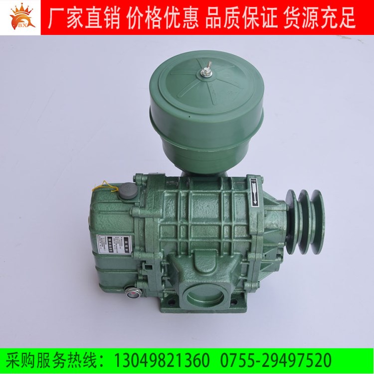 環(huán)保羅茨風(fēng)機(jī)污水電鍍處理設(shè)備曝氣增氧機(jī)