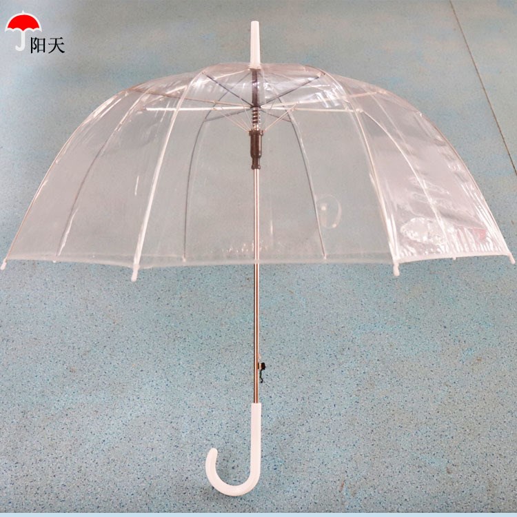 廠家直銷8骨長(zhǎng)柄直桿環(huán)保透明阿波羅晴雨傘 自動(dòng)開(kāi)廣告?zhèn)?定做定