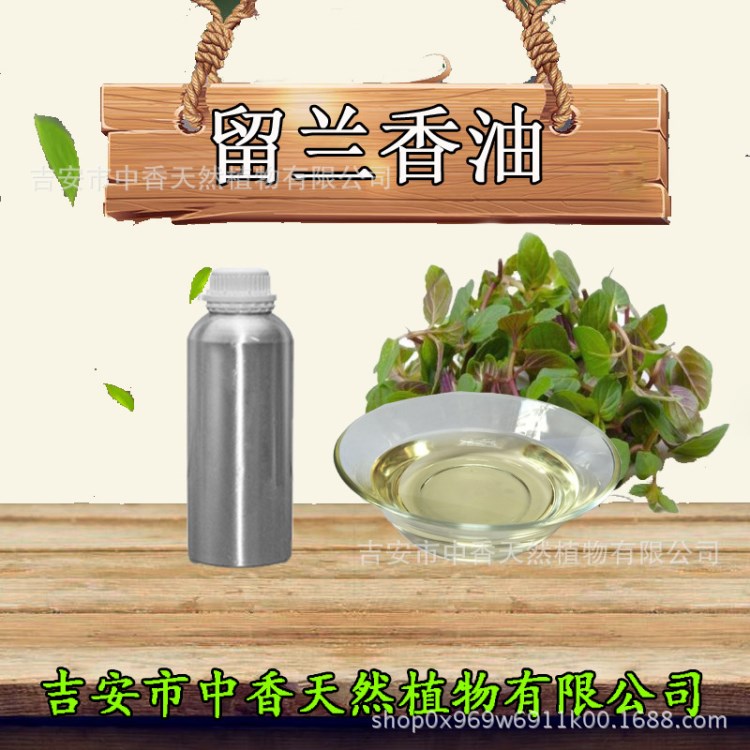 天然精油廠家直銷留蘭香油  品質(zhì)  優(yōu)惠批發(fā) 中國好貨源