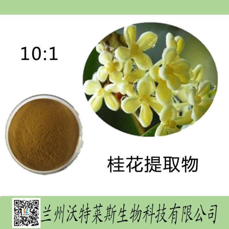 桂花提取物 桂花粉 桂花浸膏 桂花提取液 桂花酵素    一公斤起訂