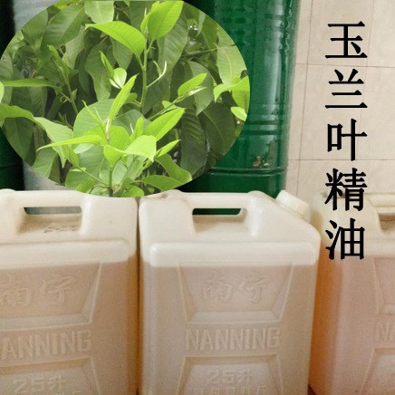 廠家批發(fā)精油植物提取玉蘭葉精油 萃取天然白蘭花白蘭葉精油