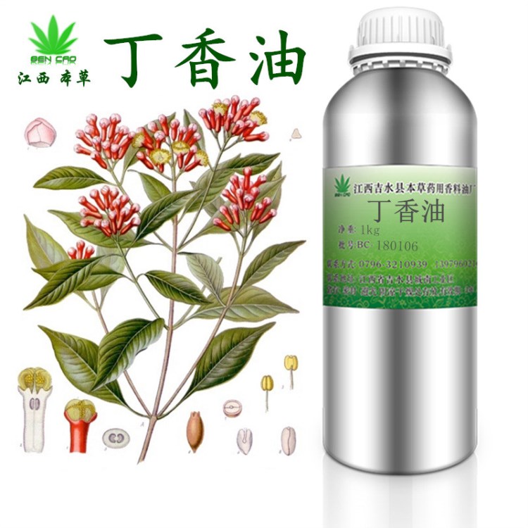 可免費(fèi)提供樣品 丁香油 植物萃取 丁子香油 魚餌 化妝品原料 免郵